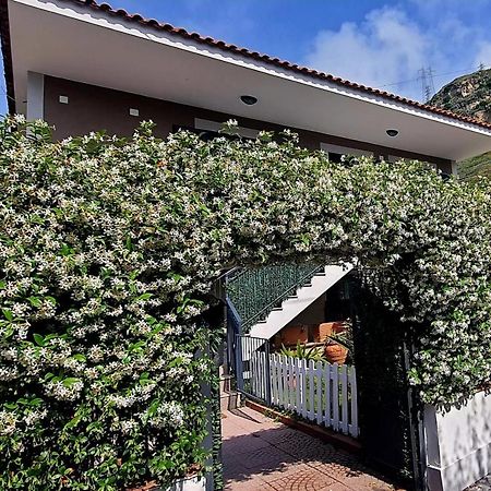 La Casa Di Barry Bed & Breakfast ปอซซุออลี ภายนอก รูปภาพ
