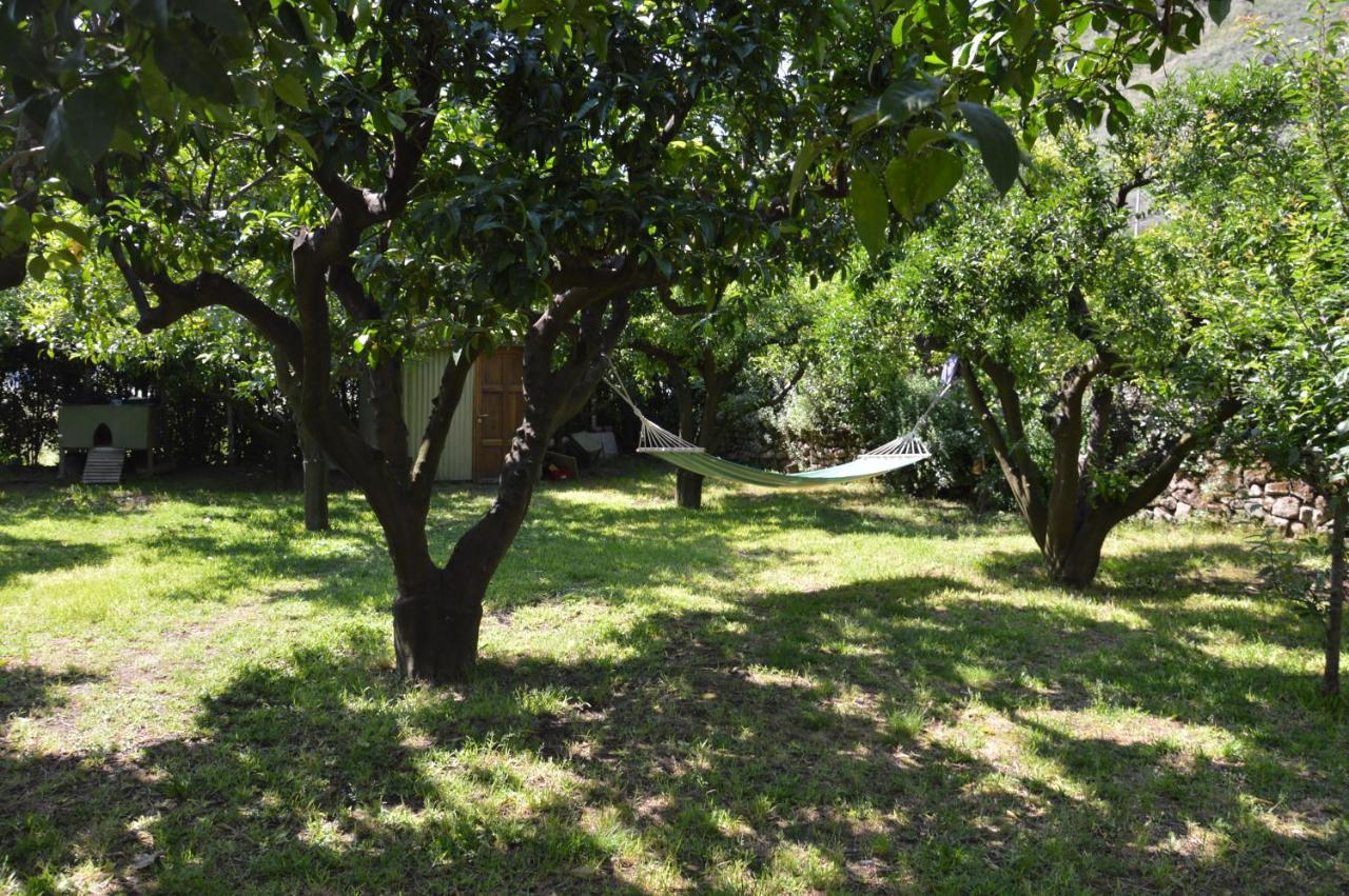La Casa Di Barry Bed & Breakfast ปอซซุออลี ภายนอก รูปภาพ
